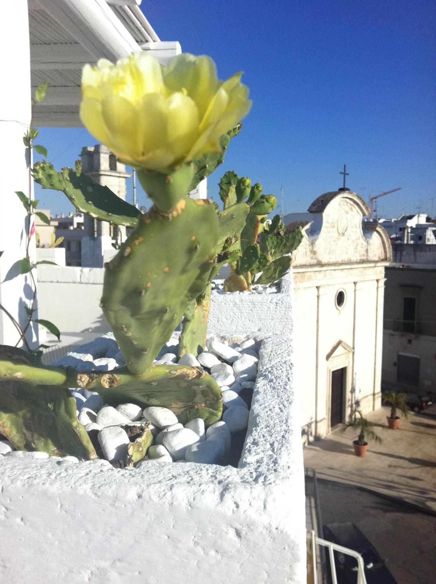 B&B Donnapasqua Polignano a Mare Exterior foto